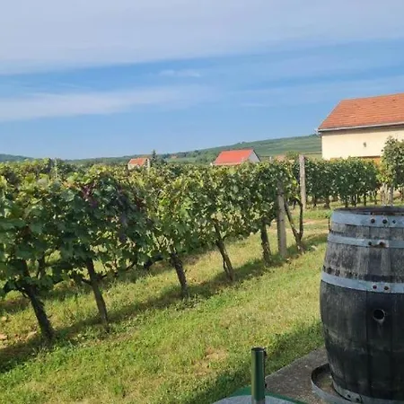 Lugas Apartmán Villány
