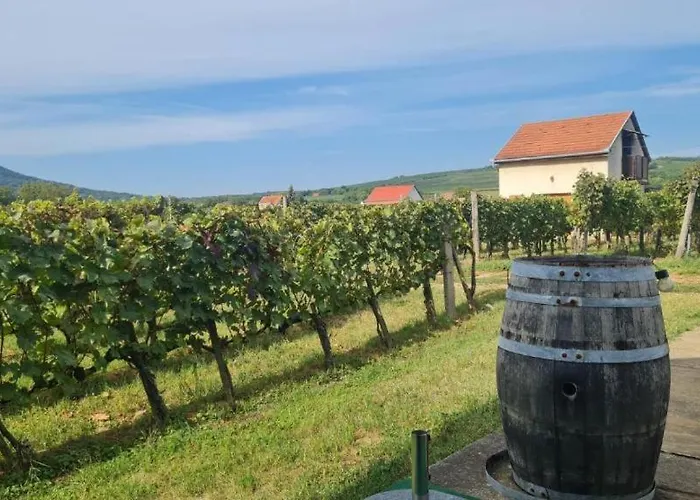 Lugas 公寓 维拉尼